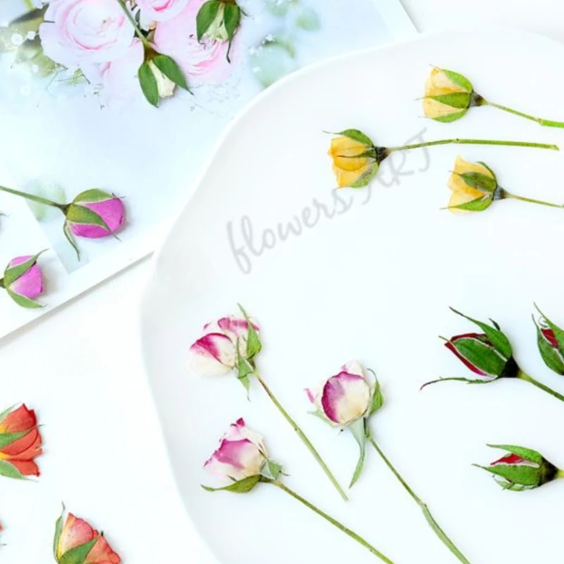 압착된 장미꽃 꽃잎 드라이 플라워 DIY 식물 사진 프 - Pressed Flower Frame 리뷰 및 가격