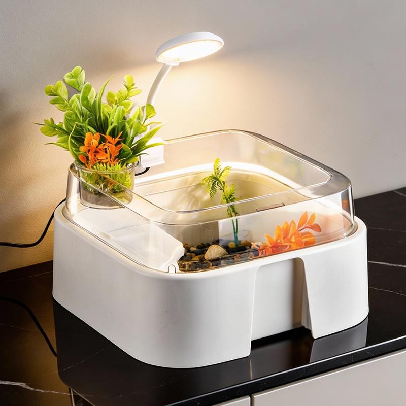 새로운 투명 거북이 수조 홈 데스크탑 장식용 거북이 상 - Home Decor Habitat 리뷰 및 가격
