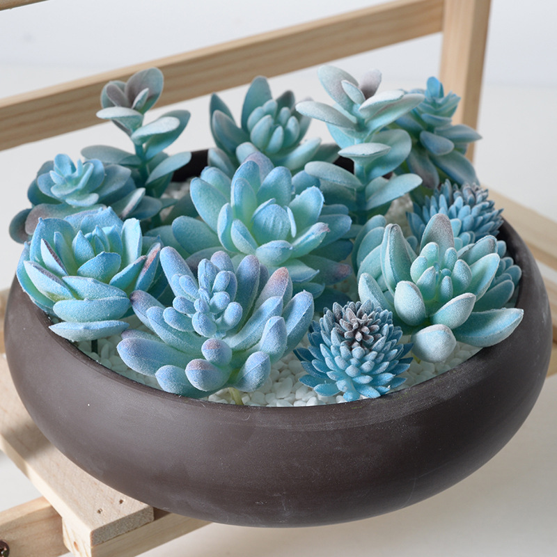 4pc 블루 몰려 들고 시뮬레이션 즙이 많은 식물 녹색 - Home Decor Simulator 리뷰 및 가격