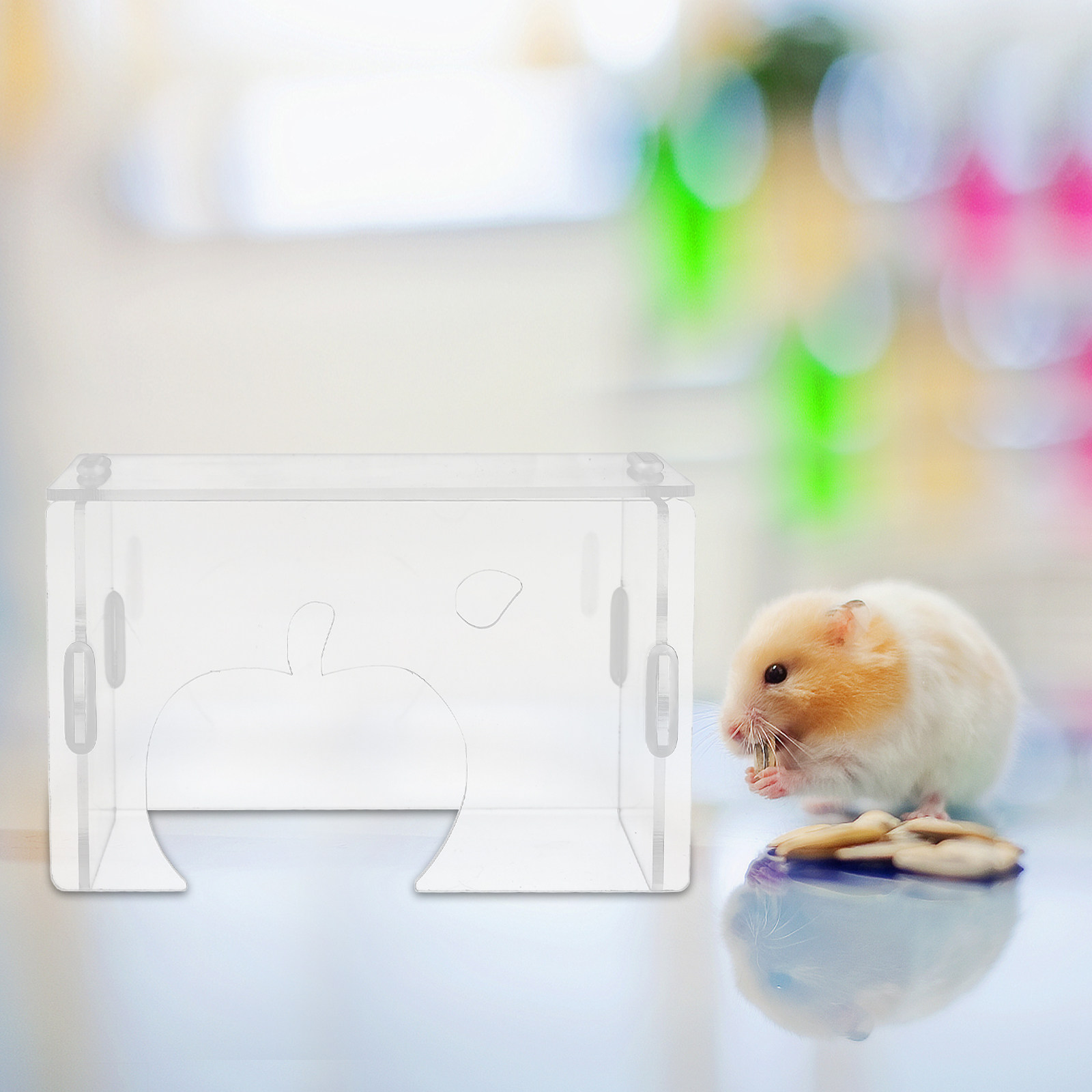 햄스터 은신처 투명 아크릴 소형 동물용 넓은 투명 보금 - Home Decor Habitat 리뷰 및 가격