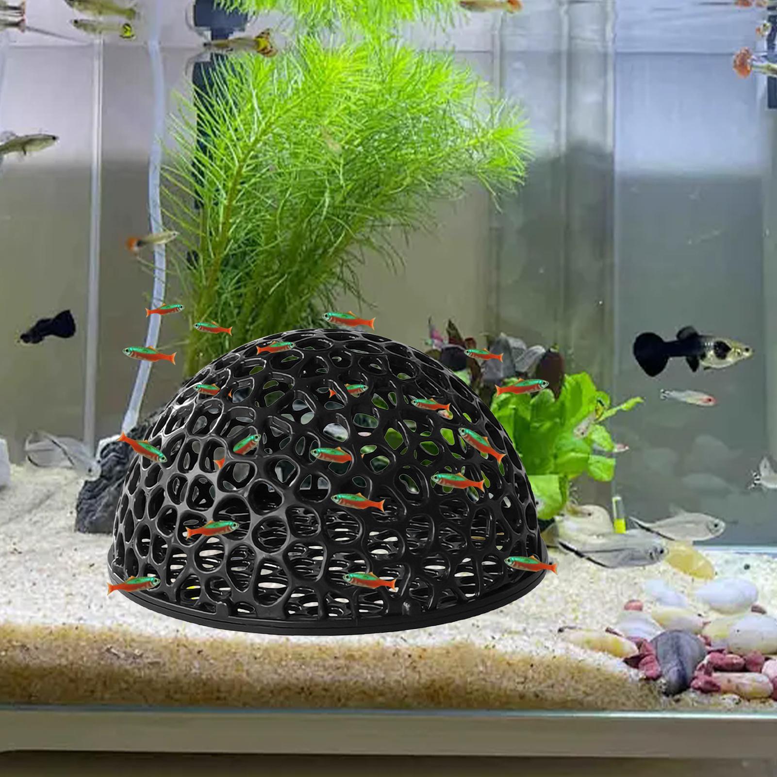 새우 번식 동굴 어항 새우 은신처 수족관 장식 은신 도 - Home Decor Habitat 리뷰 및 가격