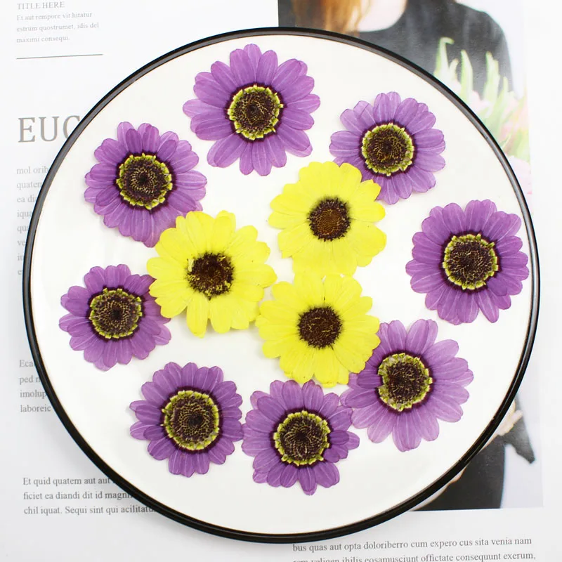 40pcs 프레스 건조 3-5cm 노란색/보라색 Gra - Pressed Flower Frame 리뷰 및 가격