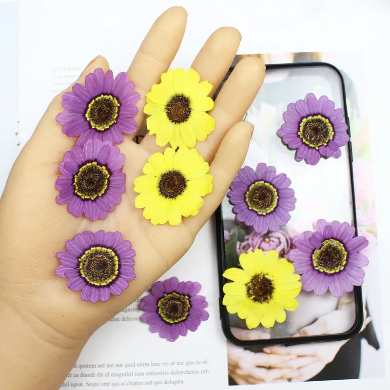 40pcs 프레스 건조 3-5cm 노란색/보라색 Gra - Pressed Flower Frame 리뷰 및 가격