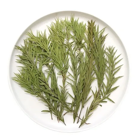 자연 압착 멜라루카 브라테타 드라이 플라워, 양각 리얼 - Pressed Flower Frame 리뷰 및 가격