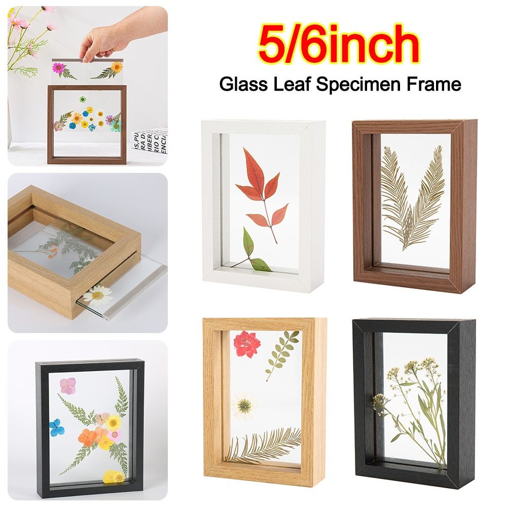 나무 유리 잎 표본 프레임 투명 양면 사진 디스플레이  - Pressed Flower Frame 리뷰 및 가격