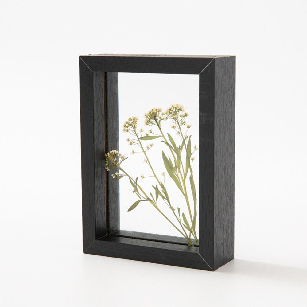 나무 유리 잎 표본 프레임 투명 양면 사진 디스플레이  - Pressed Flower Frame 리뷰 및 가격