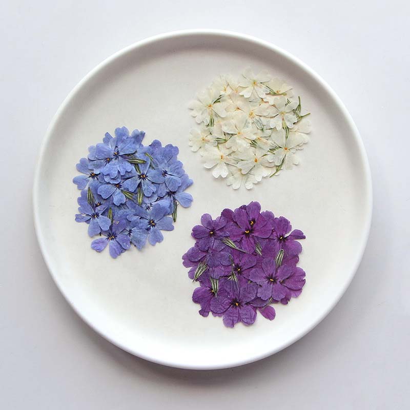 천연 건조 압축 꽃 잎 가지, 에폭시 송진, 액자 소형 - Pressed Flower Frame 리뷰 및 가격